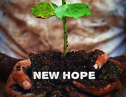Planting trees for new hope