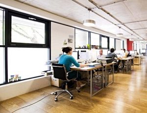 Working people in an office that has natural light