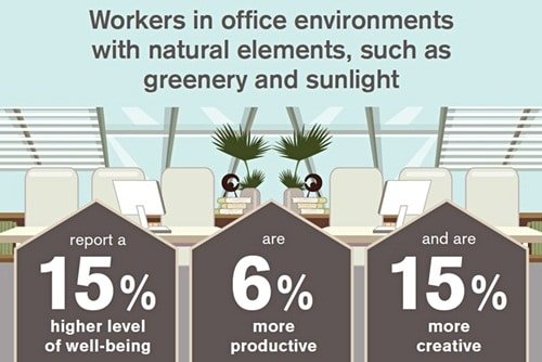 Natural elements inside a company are good for employees