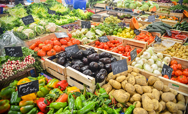 trays of different kind of vegetables