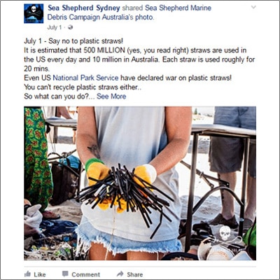 how to create a restaurant business plan Sea Shepherd Sydney help the environment Facebook post