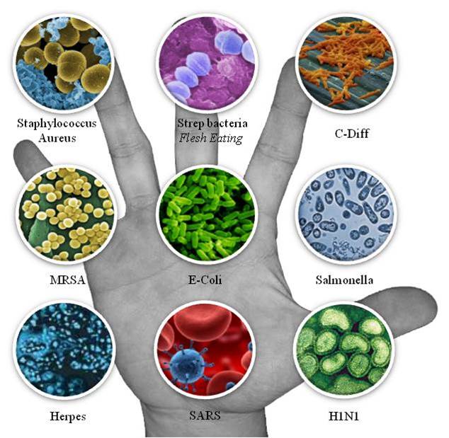 different illustration of pathogens