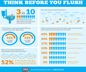 think before you flush reminder poster