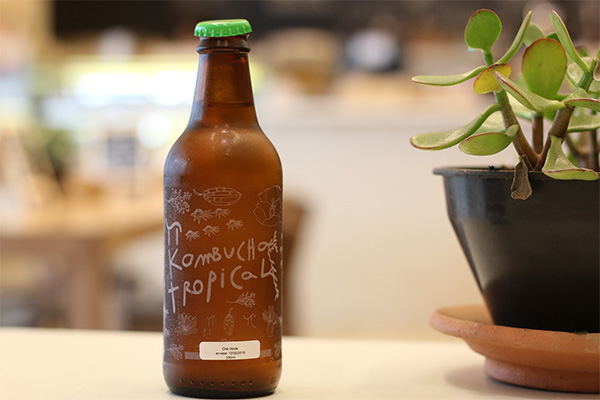 bottle placed right beside a pot of a plant