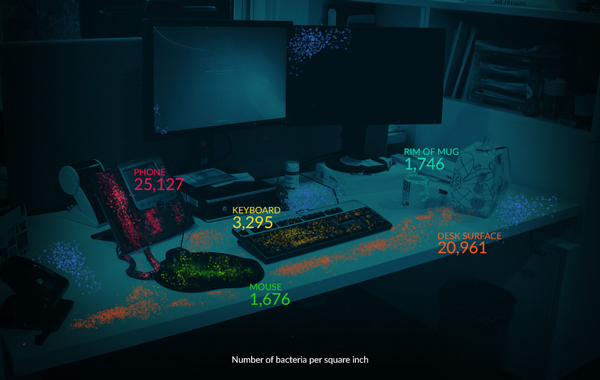 bacteria found in desk telephone keyboard