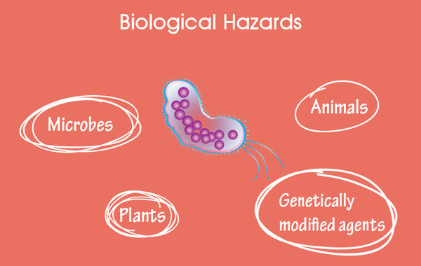 Biological Workplace Hazards