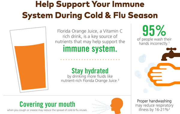 immune system during cold flu season infographic