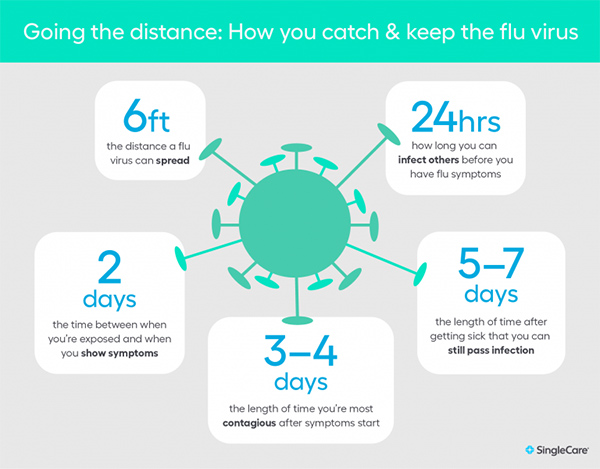 Going the distance; flu infographic